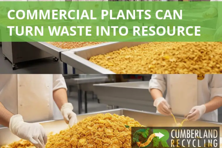 Commercial plants can turn waste into a resource